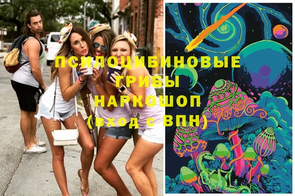 гидропоника Горняк