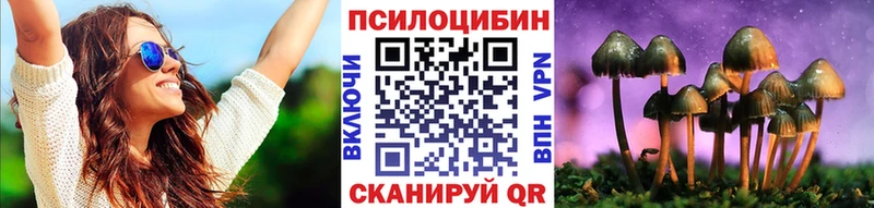 blacksprut онион  Ершов  Псилоцибиновые грибы прущие грибы 